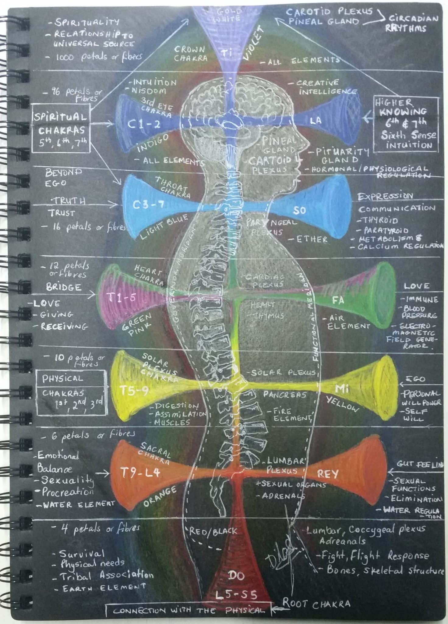 The Seven Chakras – Girl and Her Moon