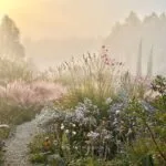 Fertility & Creation Akashic Reading
