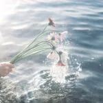 Soul Season Akashic Reading