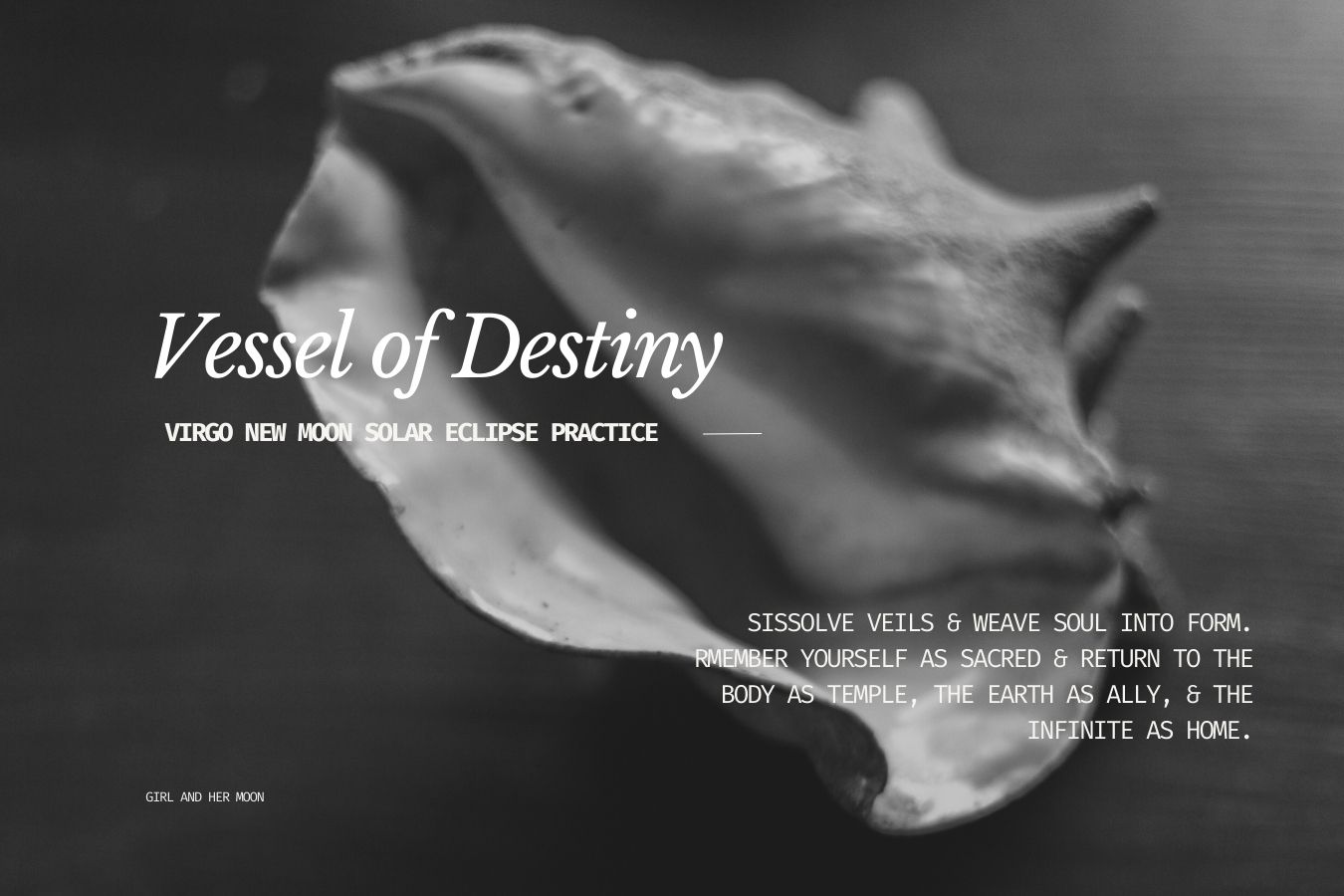 Vessel of Destiny Library Girl and Her Moon