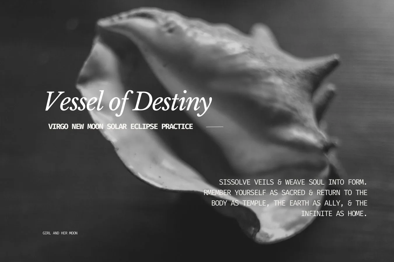 Vessel of Destiny Library Girl and Her Moon