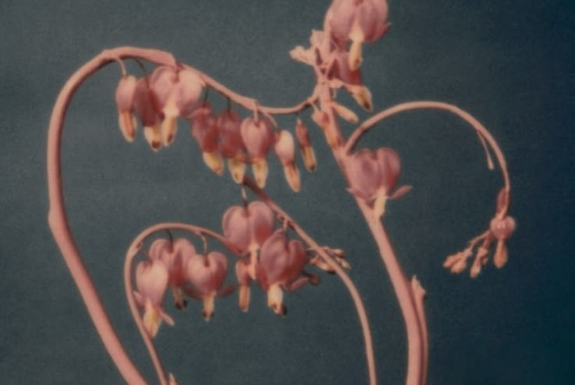 Uranus Direct in Taurus 2026: Astrology & Horoscopes