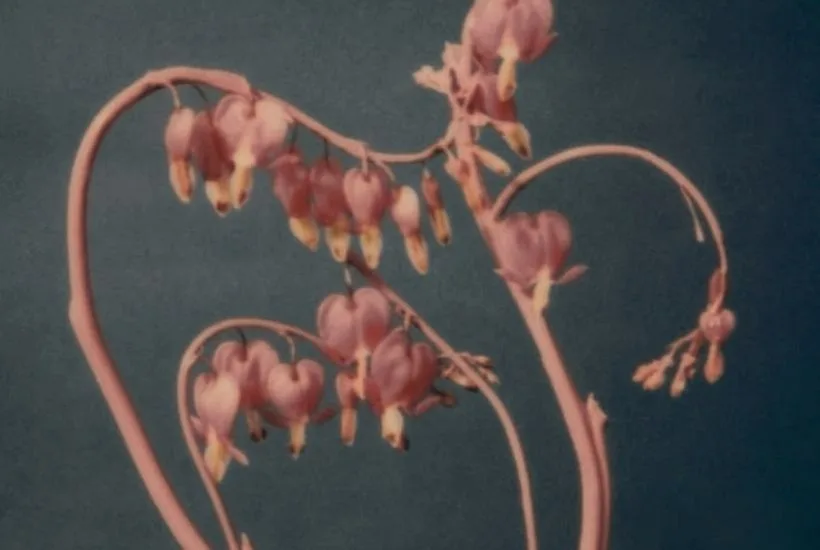 Uranus Direct in Taurus 2026: Astrology & Horoscopes