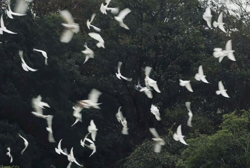 Weekly Horoscopes: February 1-7 2026 Astrology Forecast