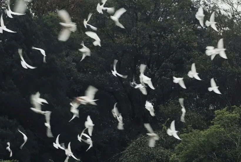 Weekly Horoscopes: February 1-7 2026 Astrology Forecast