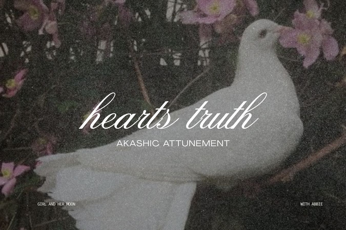 Hearts Truth Girl and Her Moon Library Page