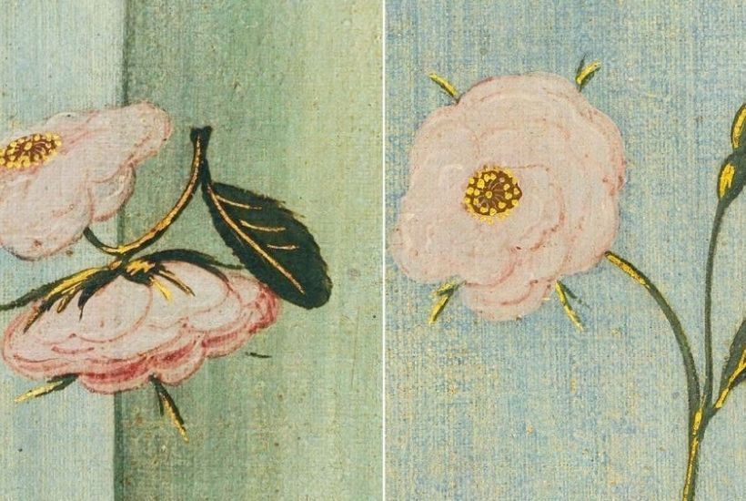 Venus Planetary Aspects: Natal & Transit Astrology