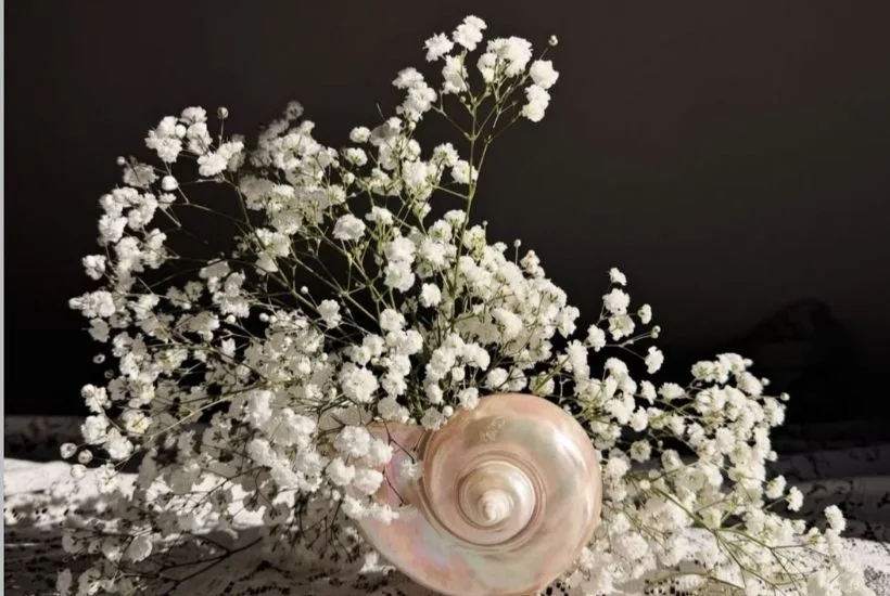 Full Moon in Libra April 2026: Astrology & Horoscopes