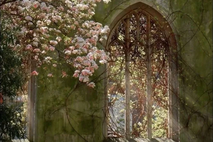 Weekly Horoscopes: March 29 - April 4 2026 Astrology Forecast