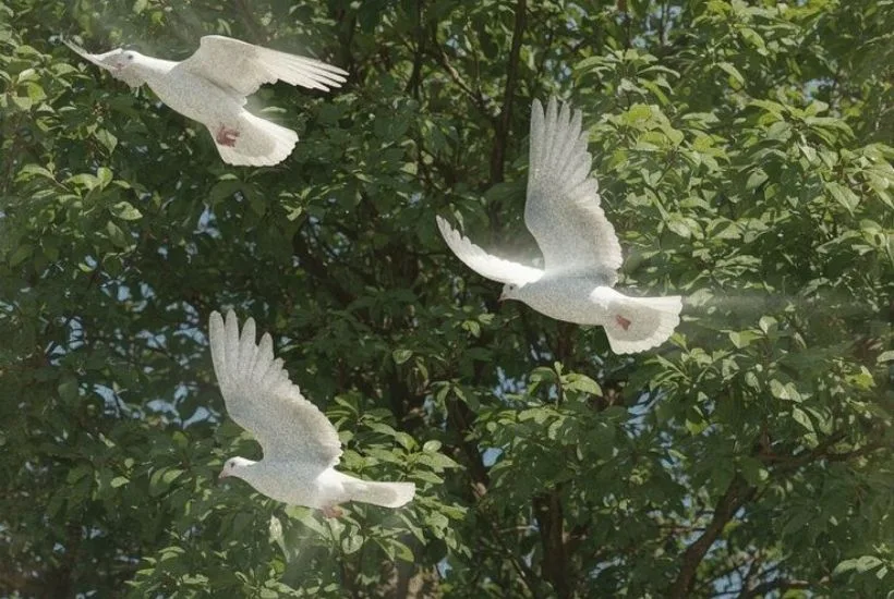 Weekly Horoscopes: April 19 – 25 2026 Astrology Forecast